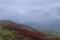 IMG-20250513-WA0009