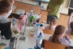 IMG-20250416-WA0006