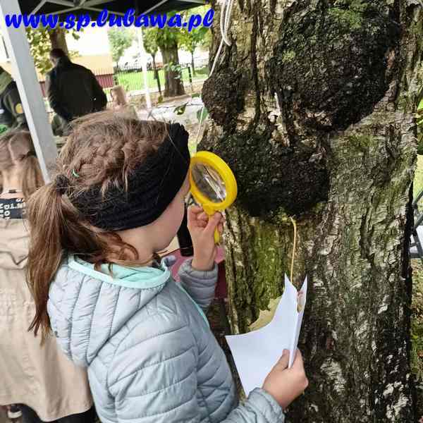 553046619_785366714291309_4777031591034419278_n