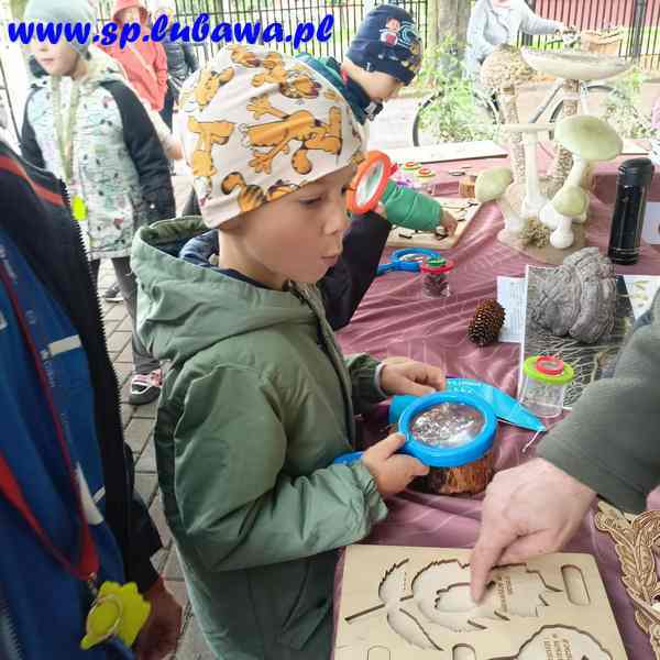 555390533_1910213339553799_6753820848960062611_n