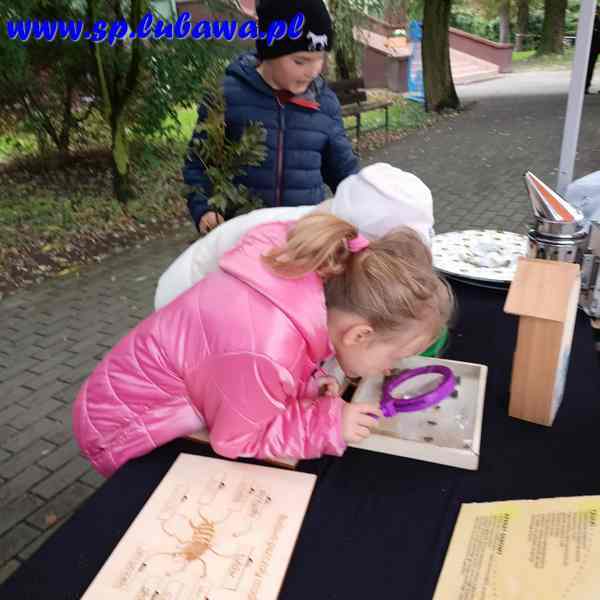 563199013_806906035318035_1599535586594426247_n