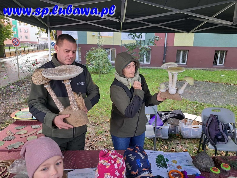 9ba5cb35-84b7-4e92-a16d-7d293f6706a0