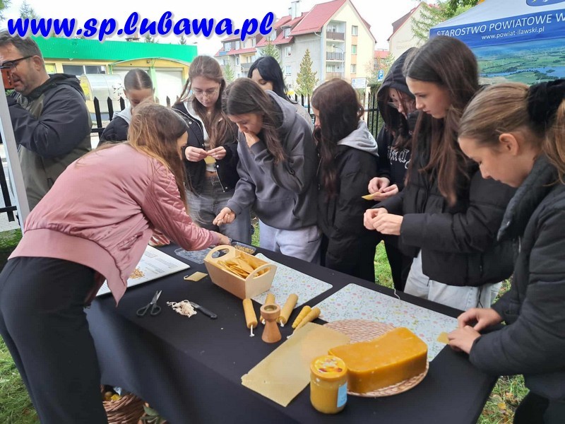 d10da11e-0528-4eb5-8aa0-0f3f8b28dfaf