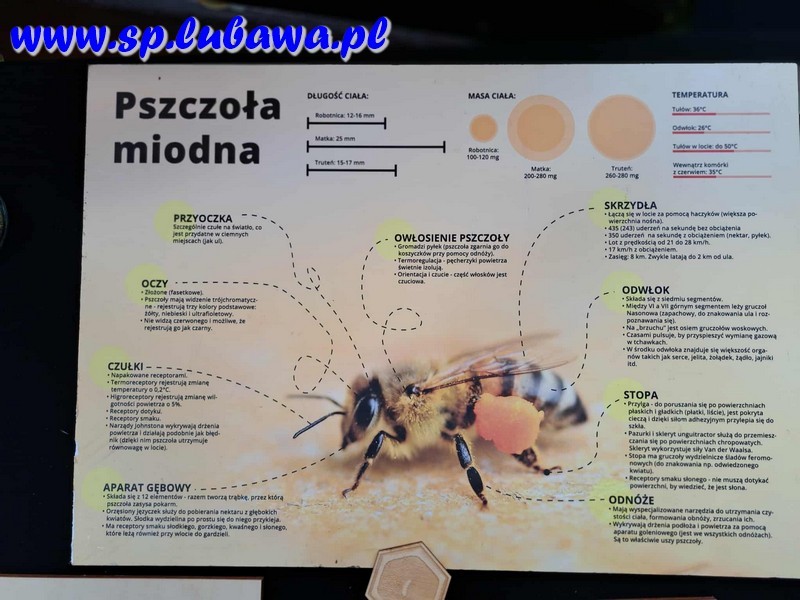 fb650a92-28bc-4455-9fd0-81718a55b947