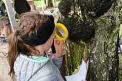 553046619_785366714291309_4777031591034419278_n 553046619_785366714291309_4777031591034419278_n