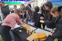 d10da11e-0528-4eb5-8aa0-0f3f8b28dfaf d10da11e-0528-4eb5-8aa0-0f3f8b28dfaf