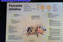 fb650a92-28bc-4455-9fd0-81718a55b947 fb650a92-28bc-4455-9fd0-81718a55b947