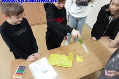 IMG20240219113144