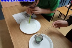 IMG20240219122534