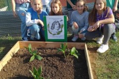 379655832_314053501211426_835122915598859404_n