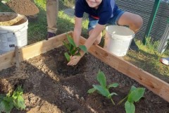 382260280_262496829502185_2411025061155536252_n