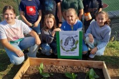 384446050_160969660342704_7722643156133471285_n