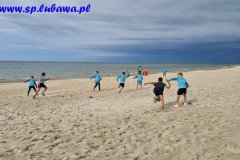 428fff44-a7b0-4f59-8586-fa85f00dca3f