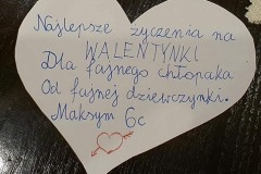 Maks-6c