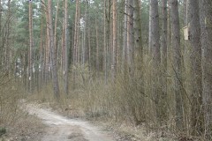 DSC02276