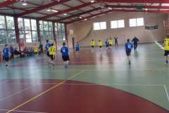 DSCN4101