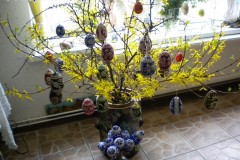 DSCN0686