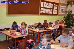 DSC_0061