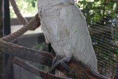 IMG_5284