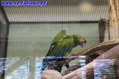 IMG_5286