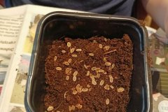 342735418_567565175476201_6714073908449412801_n