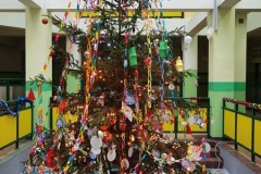 IMG_20221206_120521