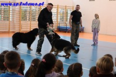 IMG_0742