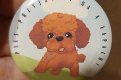 558076876_816179454300589_6477588659503652130_n