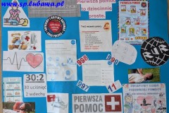 Praca-wybrana-do-dalszego-etapu-konkursu