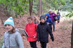 384554723_861558455349213_5800430785465259931_n