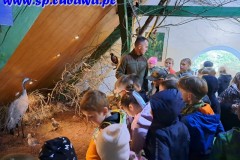 386451237_356376456724586_6245411296971649570_n