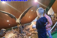 386895079_707077061269542_7628730563677070238_n