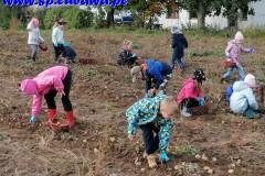 IMG_20221005_095436