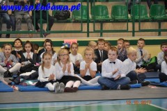 DSC_2452 (Kopiowanie)