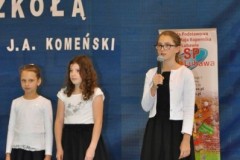 DSC_2593 (Kopiowanie)