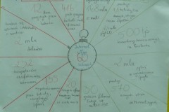 DSCN4443 (Kopiowanie)