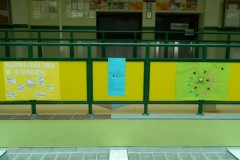 DSCN4446 (Kopiowanie)