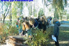 DSCN4857