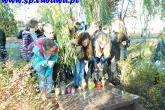 DSCN4858