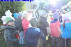 DSCN4881