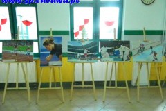 DSCN5132