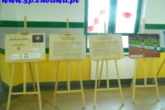 DSCN5133