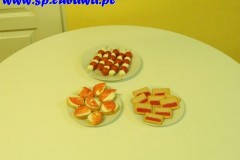 DSCN5025