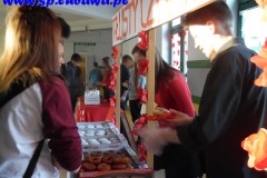 SAM_1701 (Kopiowanie)
