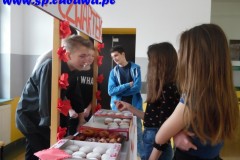 SAM_1711 (Kopiowanie)