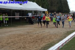 Przełaje wojewódzkie 015