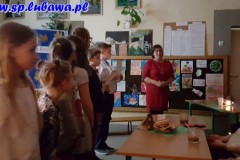 IMG-20171127-WA0012
