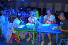 DSCN0828