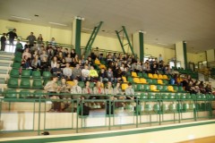 _DSC8470 (Kopiowanie)