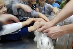 IMG-20171027-WA0006